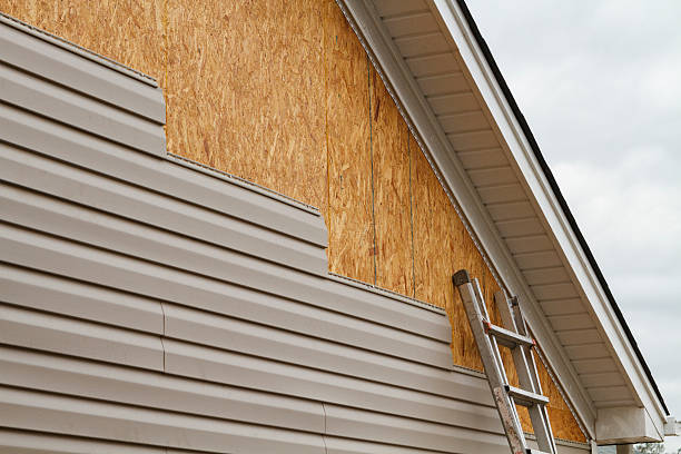 Professional Storm Damage Siding Repair technician working in Union City, TN